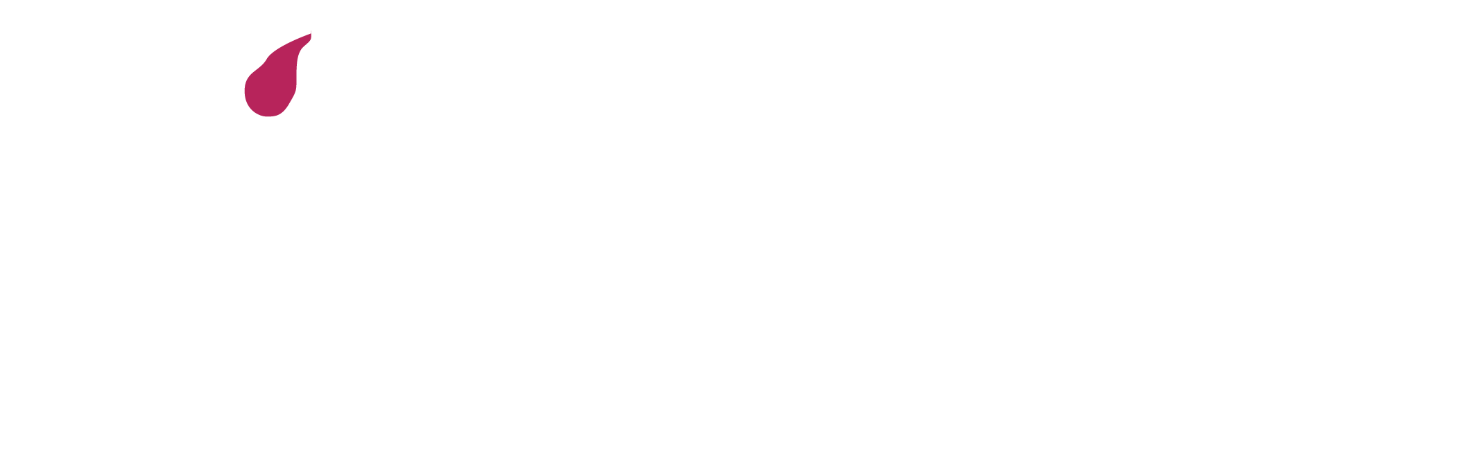 MAZIDO International
